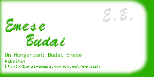 emese budai business card